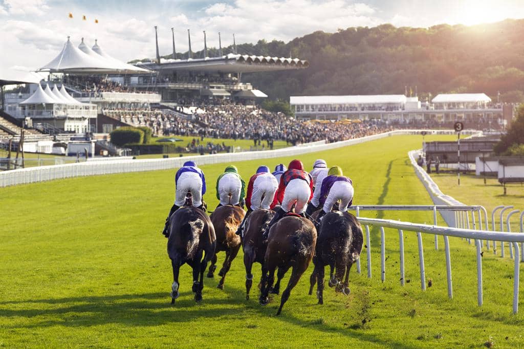 Parade Ring & Winners Enclosure