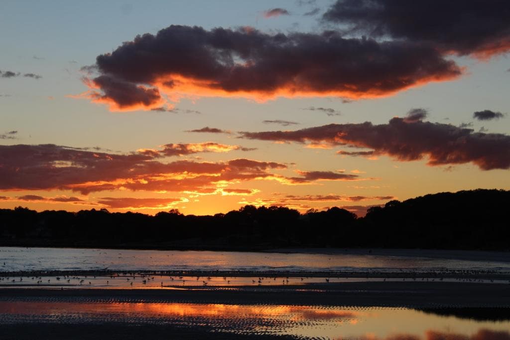 Rocky Neck State Park