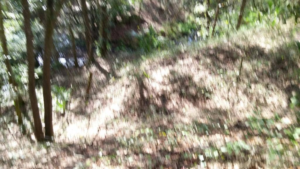 World-Class Mountain Bike Trails