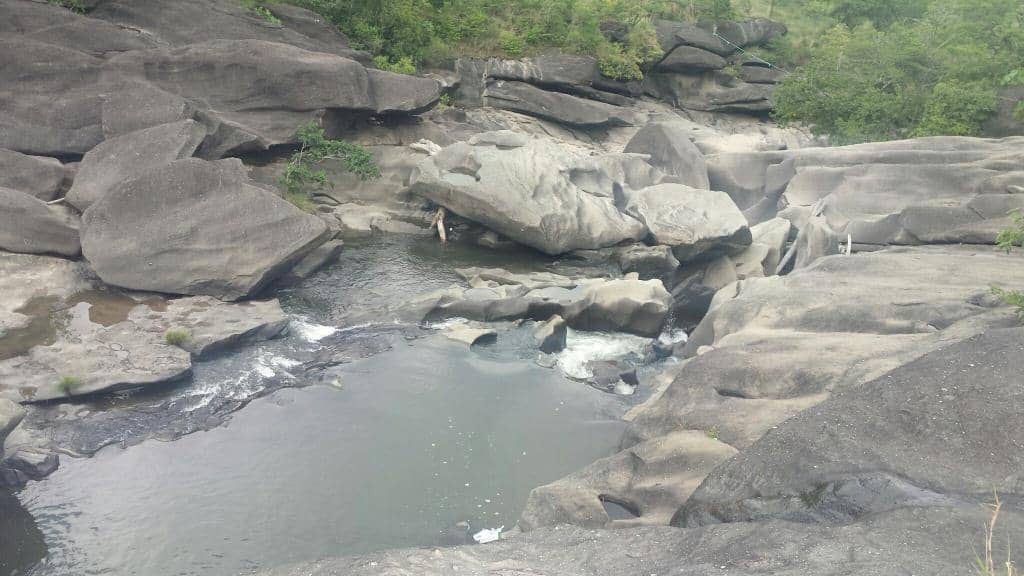 Natural Swimming Pools