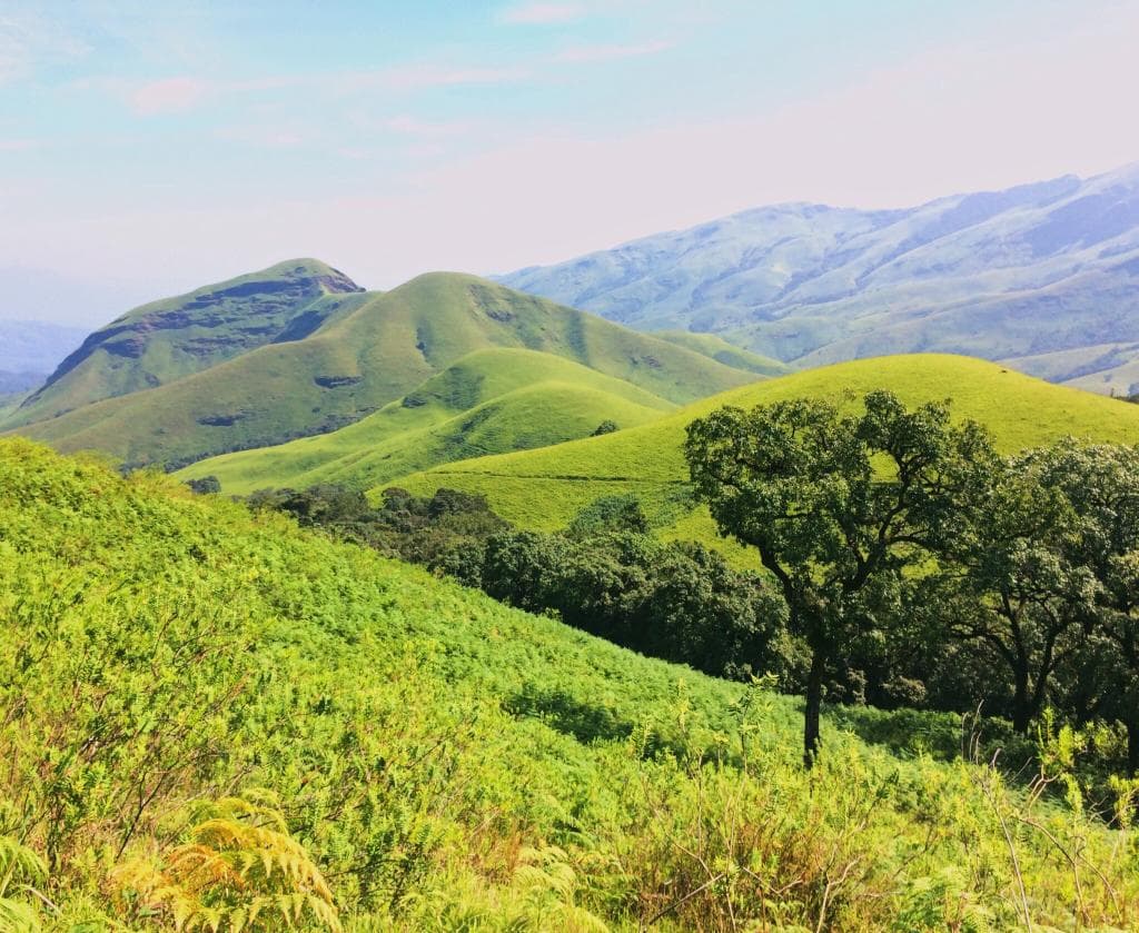 Kudremukh National Park Karnataka India