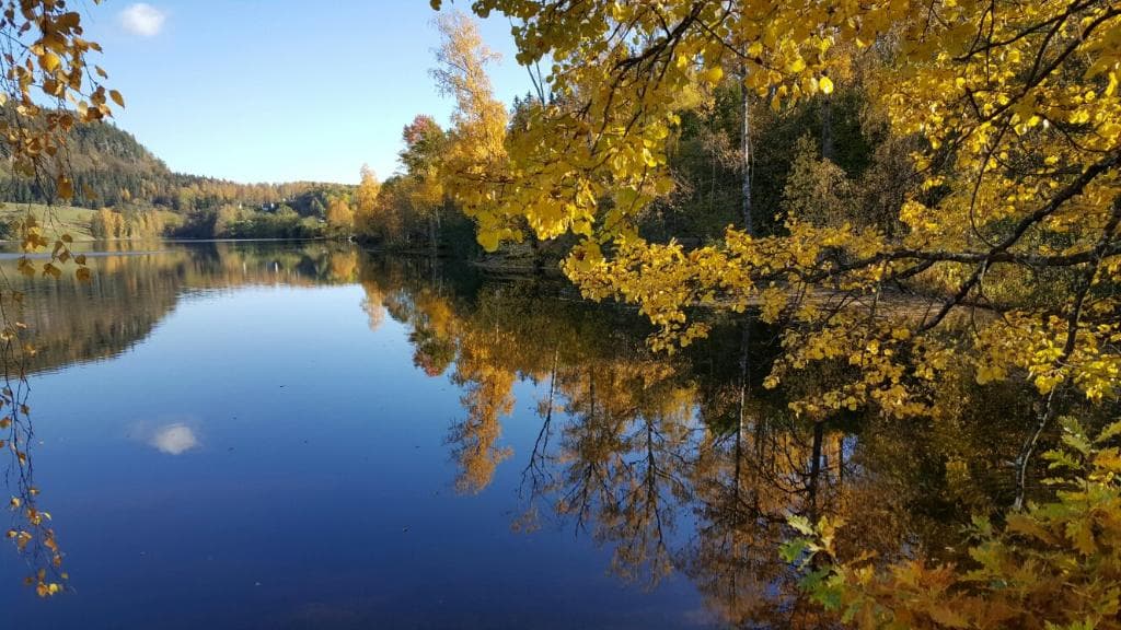 Semsvannet