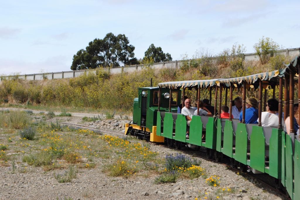Locomotive GEORGE hauls a train on the Blenheim Riverside Railway
