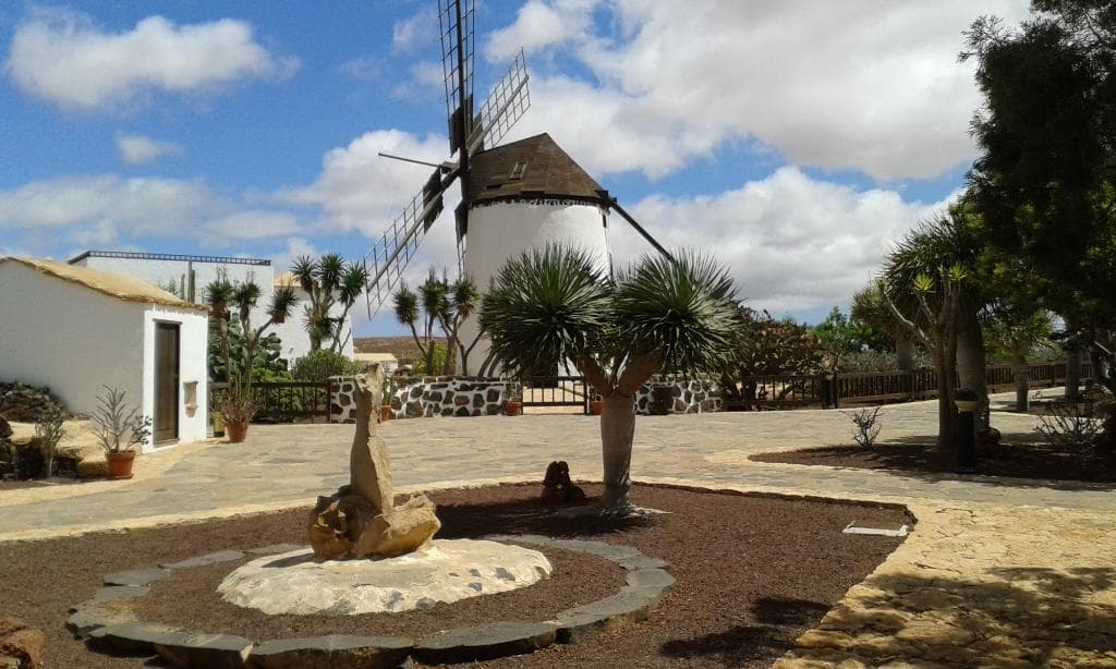 Vista desde el Jardín hacia el Molino