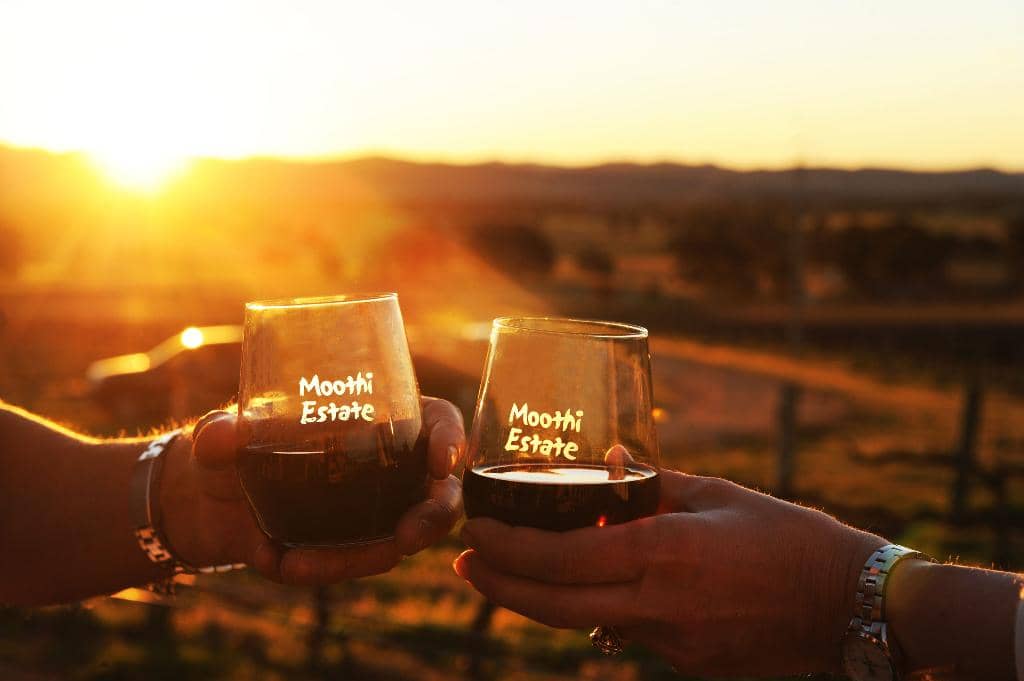 Panoramic Vineyard Views