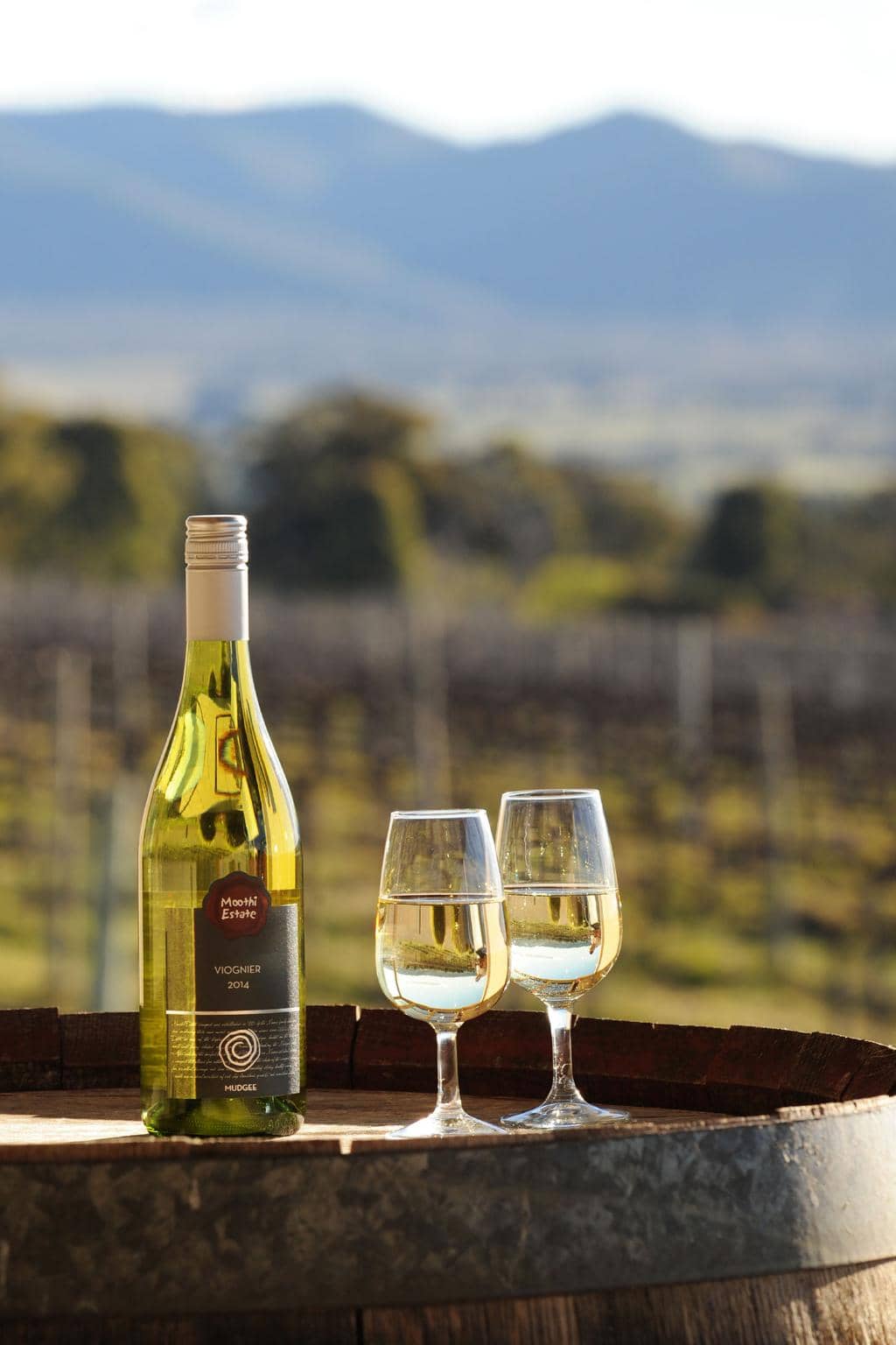 Wine Tasting Experience