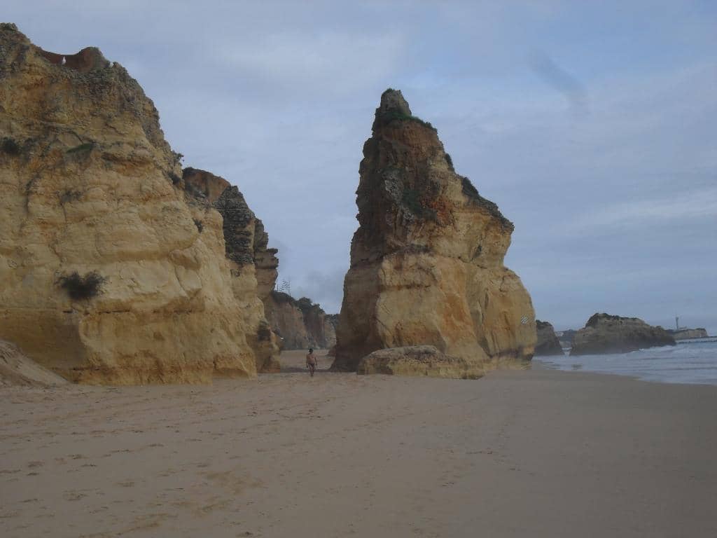 Vertical photo