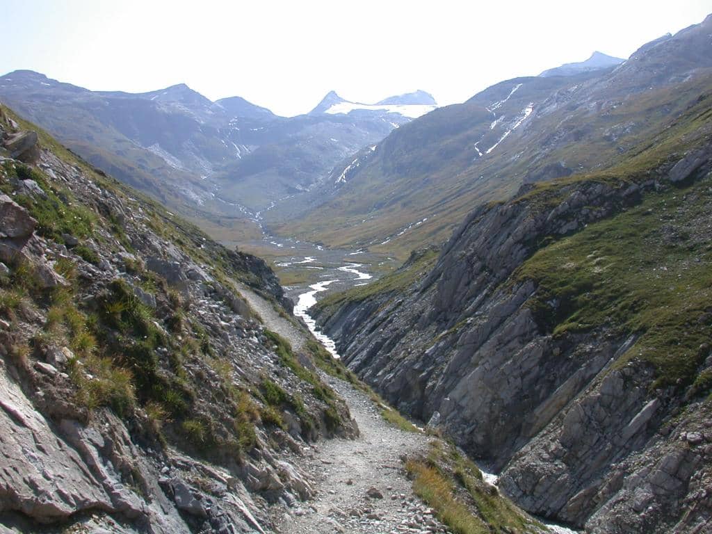 Vertical photo