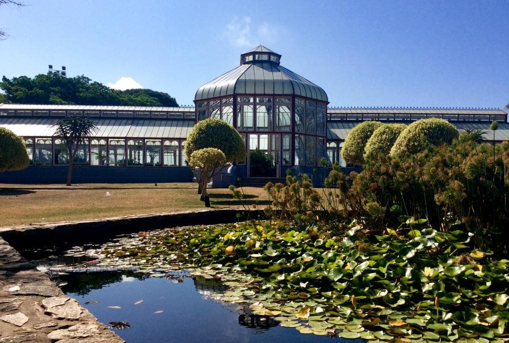 Pearson Conservatory