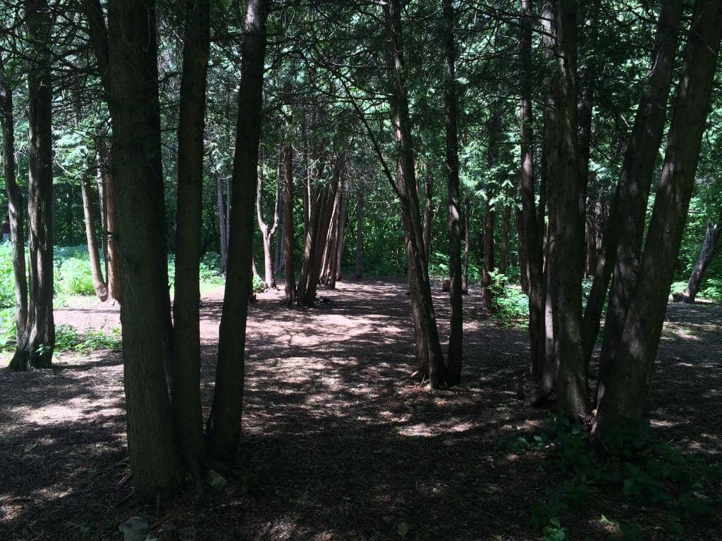 Vertical photo