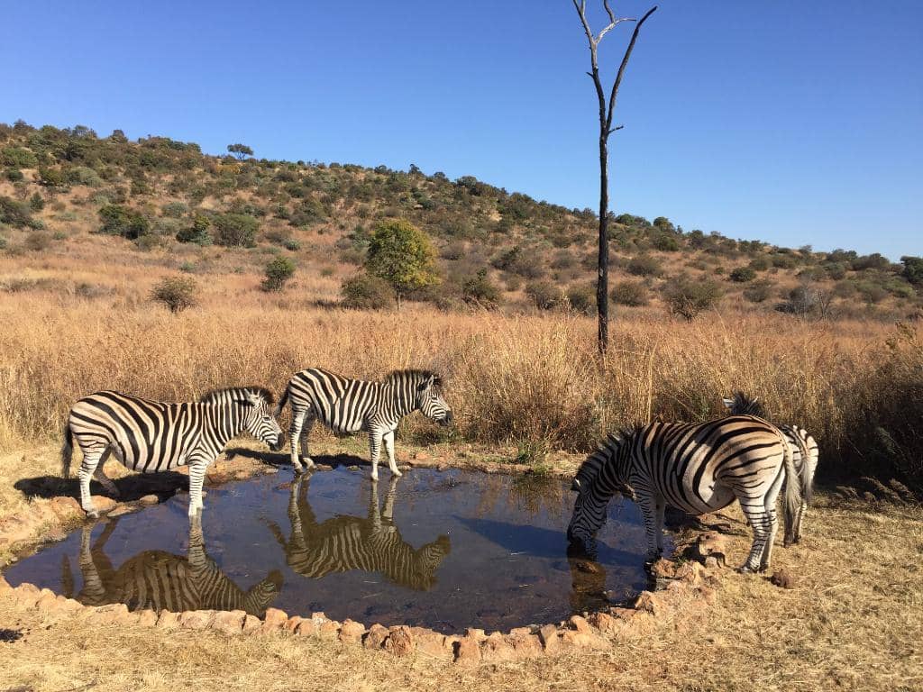 Picnic & Braai Spots