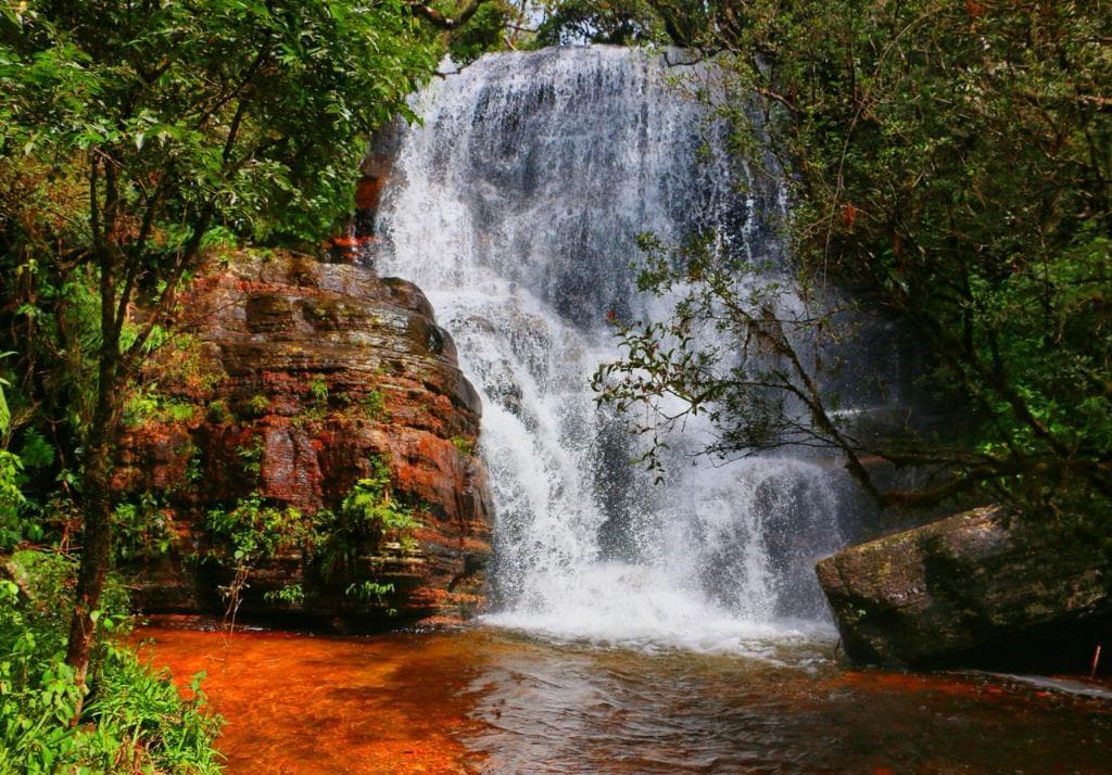 One of Piduruthalagala cascades
