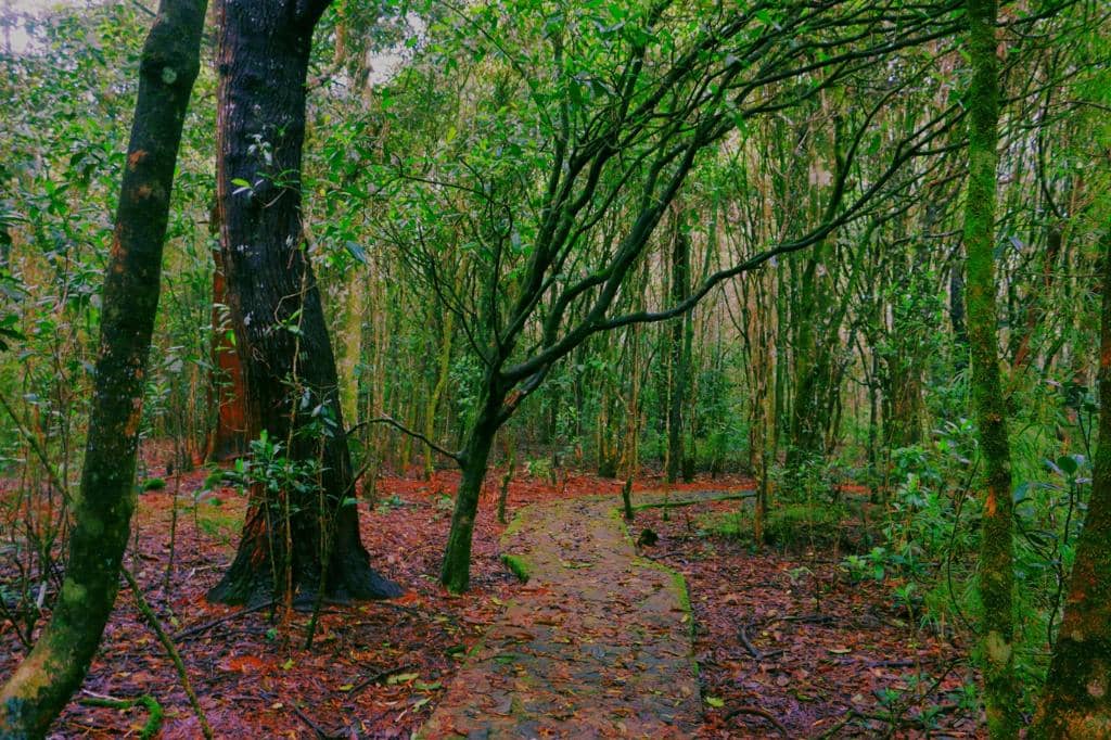 Biodiversity Hotspot