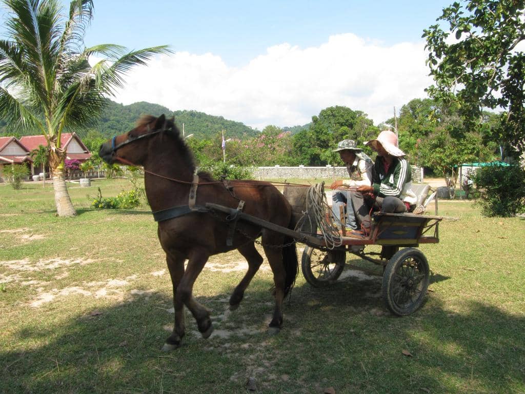 Pepper Plantation Tour
