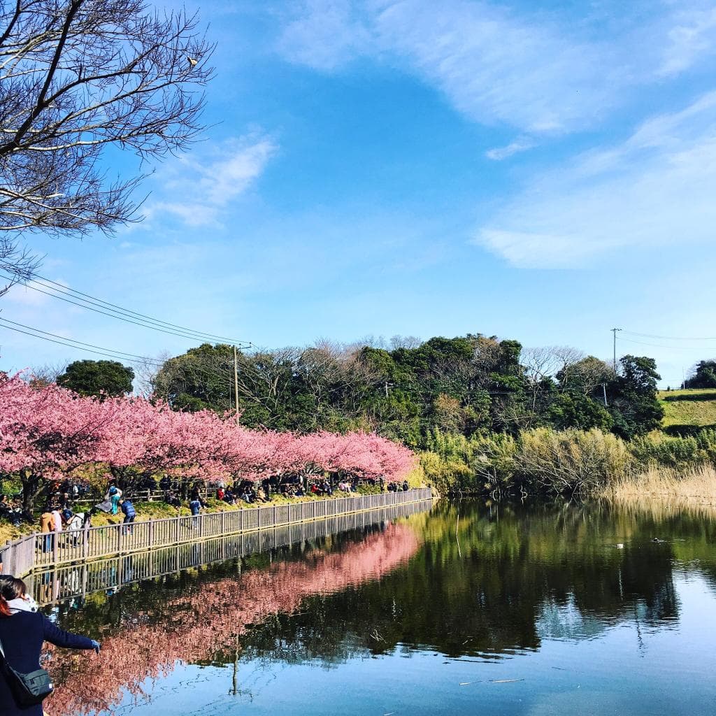 小松ヶ池公園