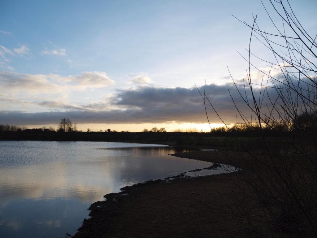 From bird hide.