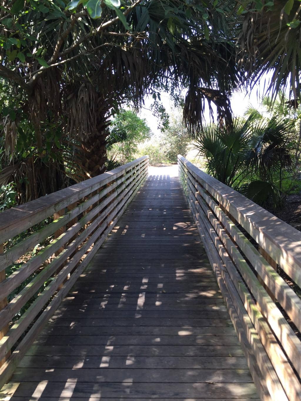 Pine & Palmetto Trails