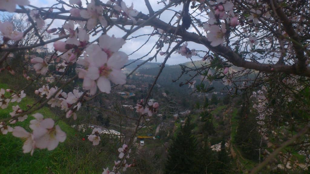 Marc Chagall Windows