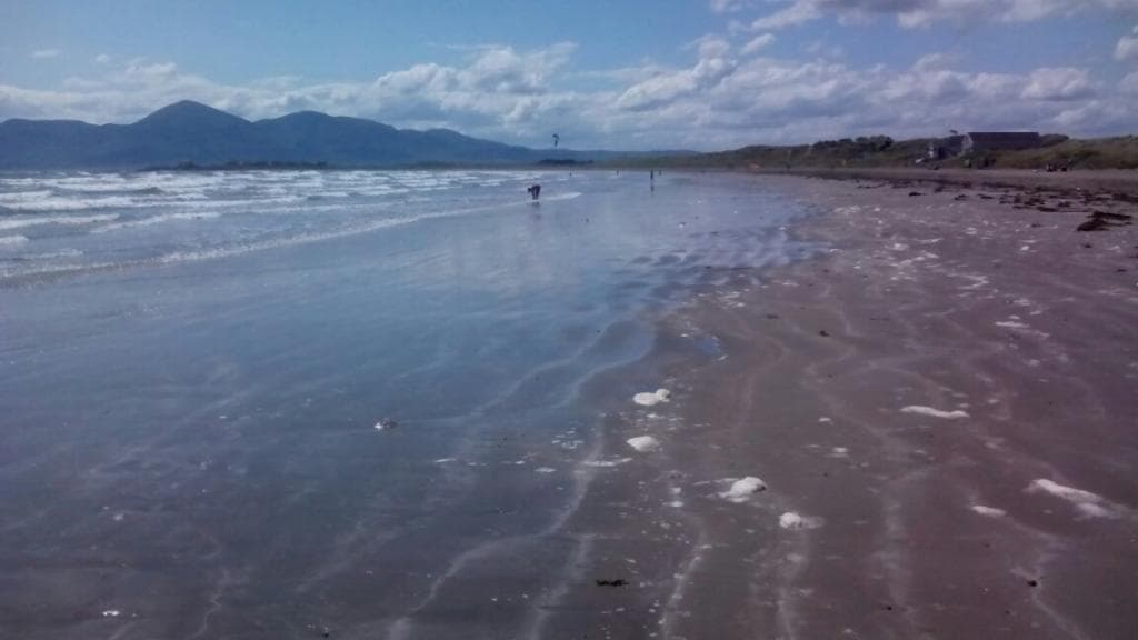 Summer 2015