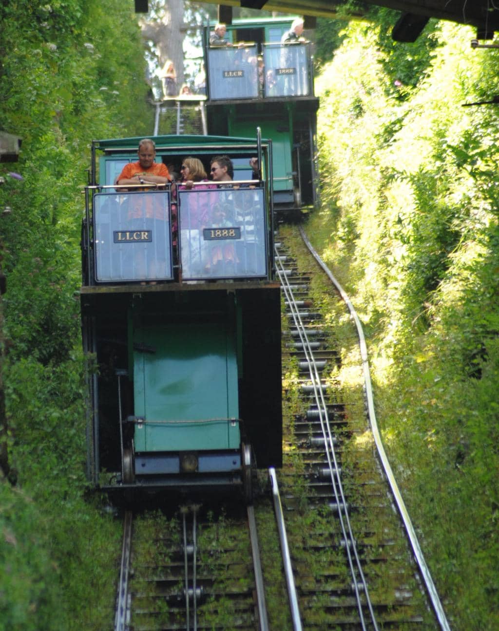 Vertical photo
