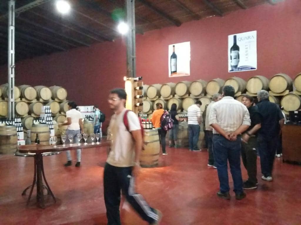 Vineyard Ambiance
