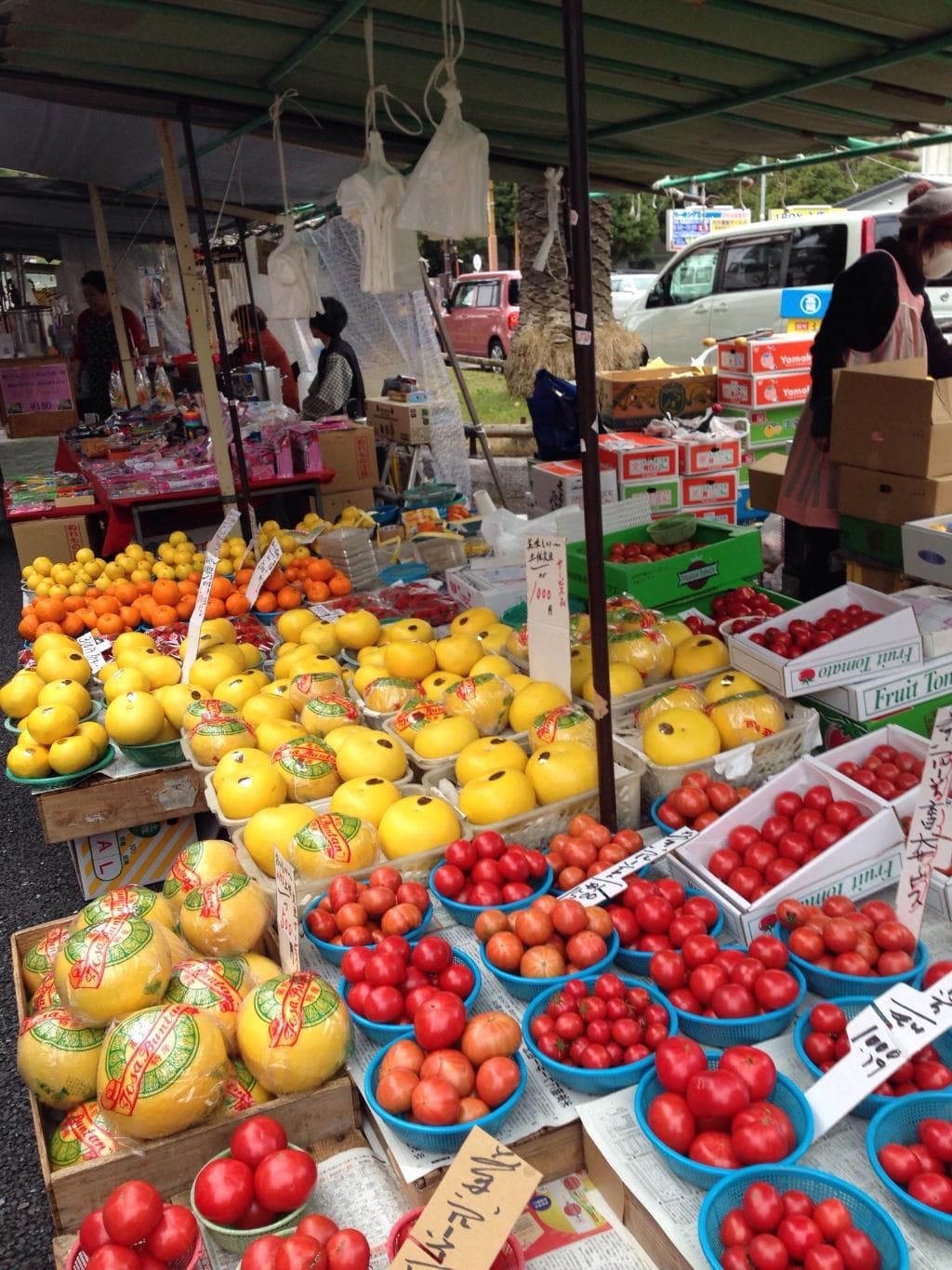 Kochi Sunday Market Otesuji