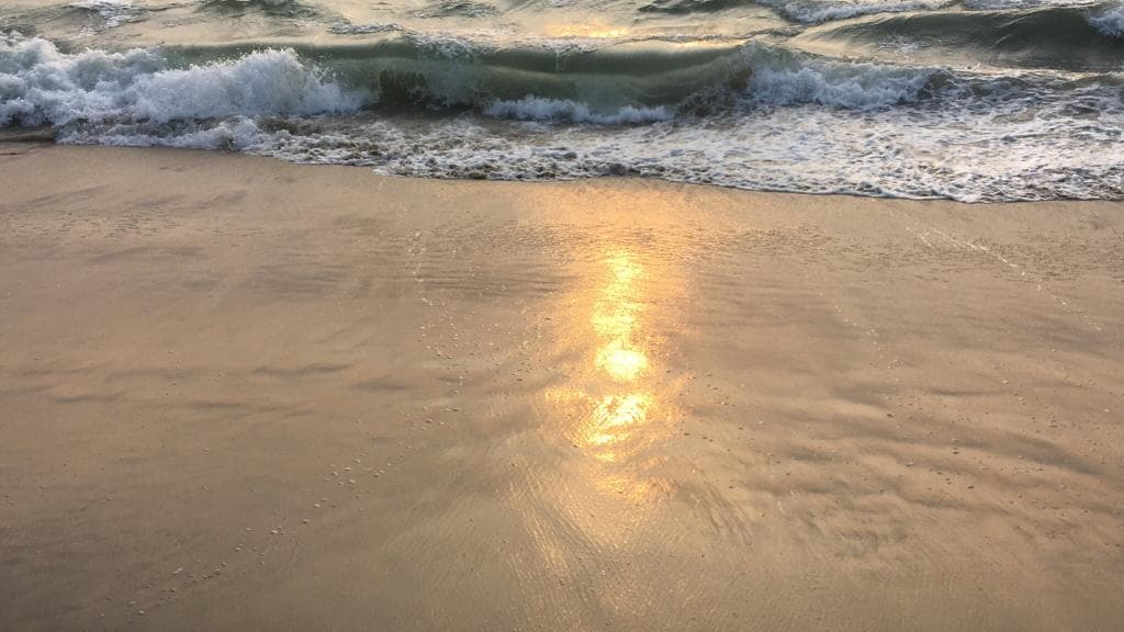 Sea View Park