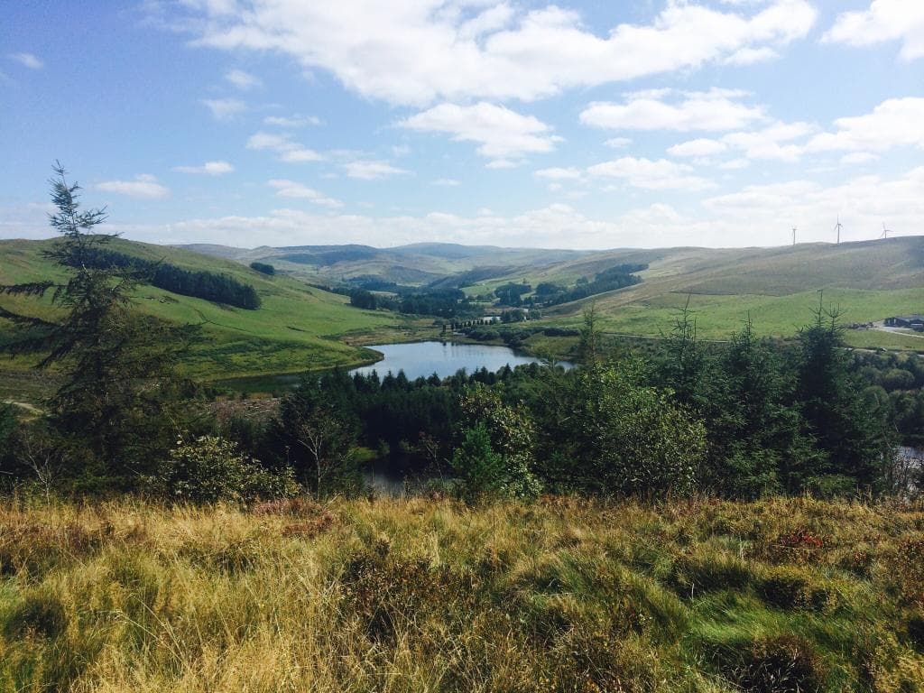 Bwlch Nant yr Arian Forest