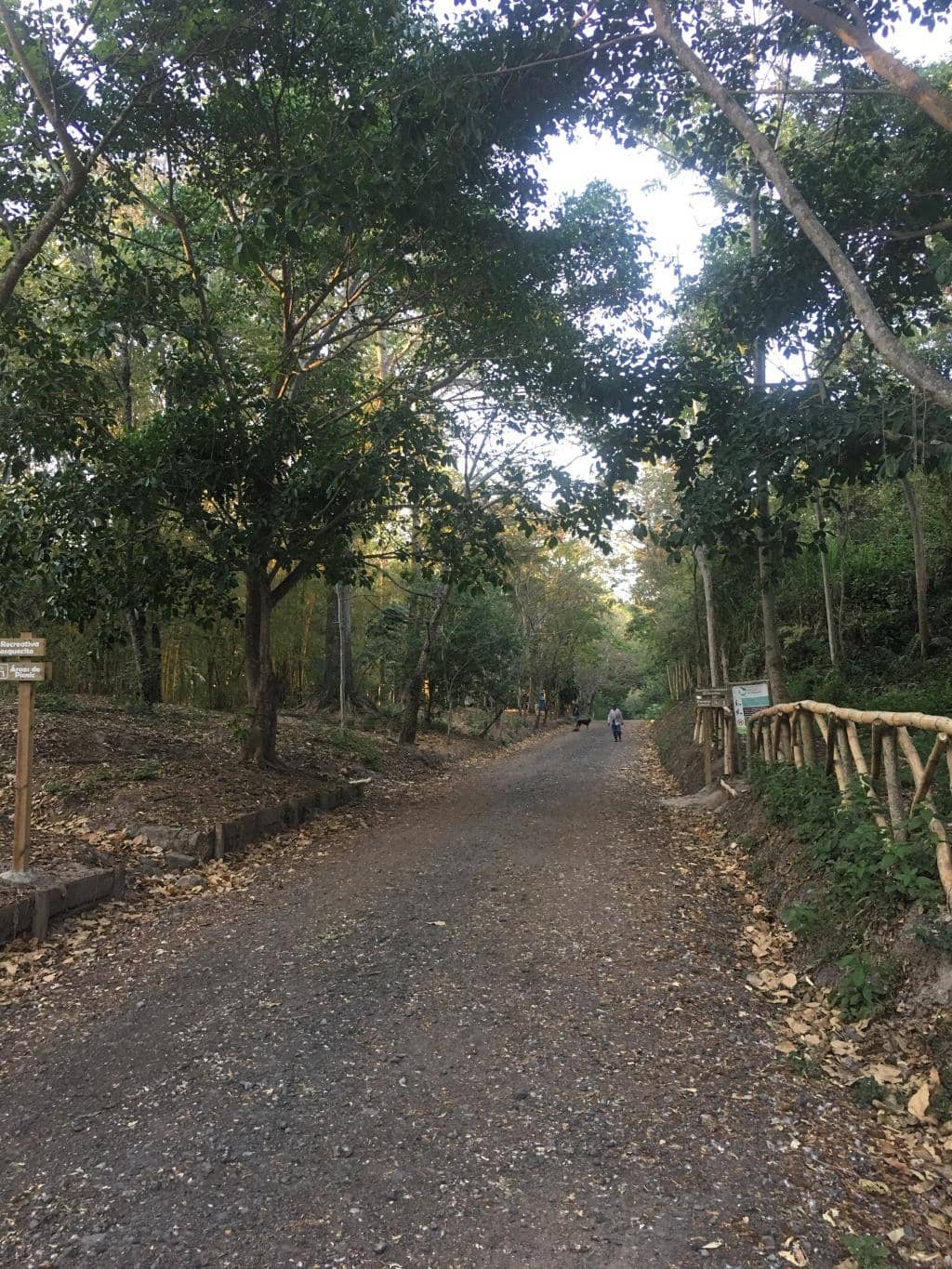 Outdoor Gym Equipment