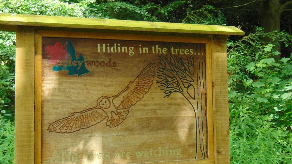Woodland Trails
