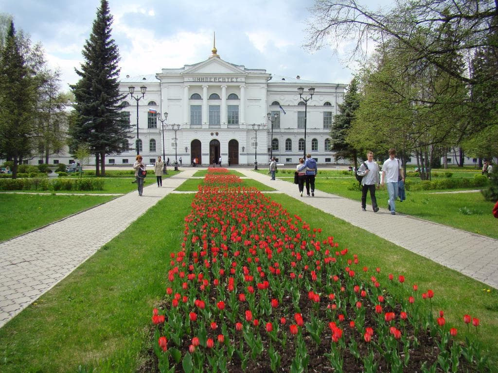 Tulips in May