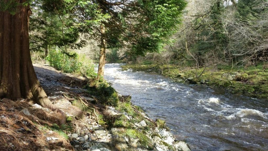Adventure Playground & High Wires