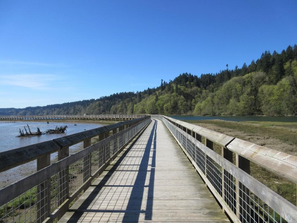 Boardwalk