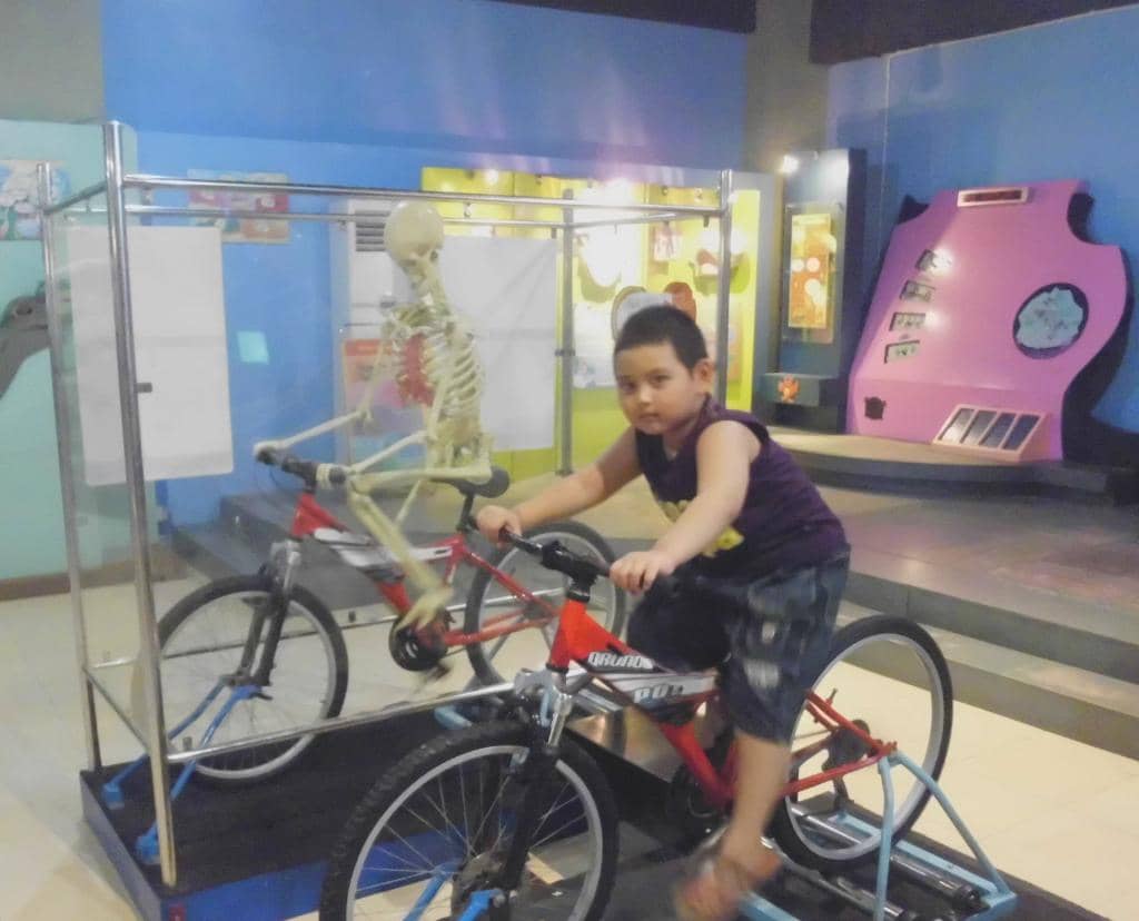 Cultural Exploration