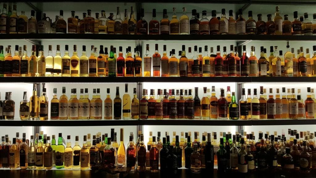 Irish Racehorse Experience