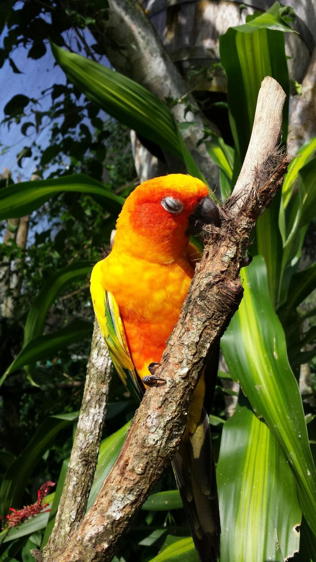 Loved Birdworld, our second time and more prepared to protect my earring bling. We both loved ev