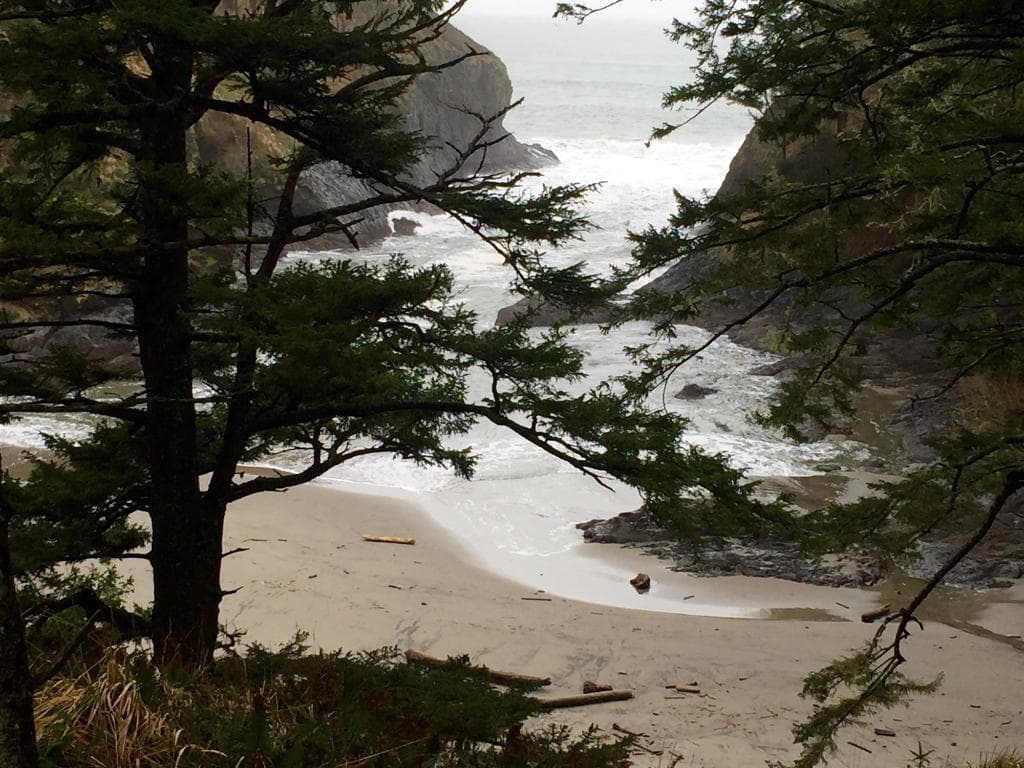 Waikiki Beach view at Cape Disappointment State Park