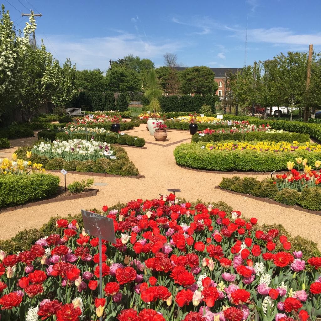 Paul J. Ciener Botanical Garden