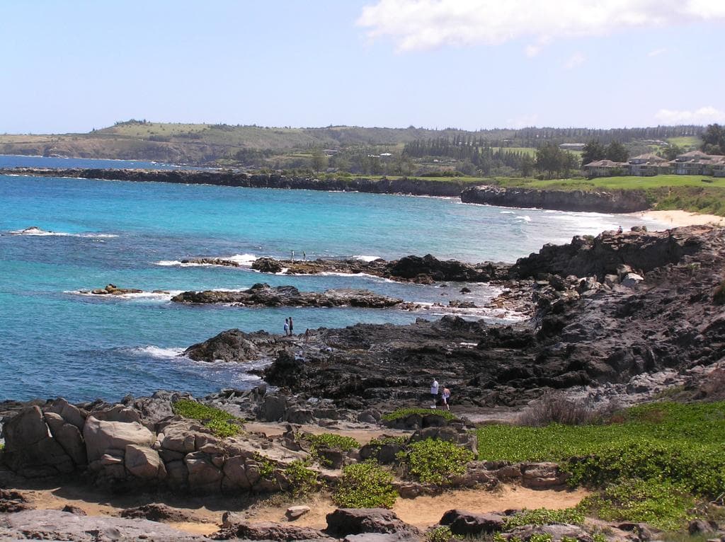 Path to D.T. Fleming