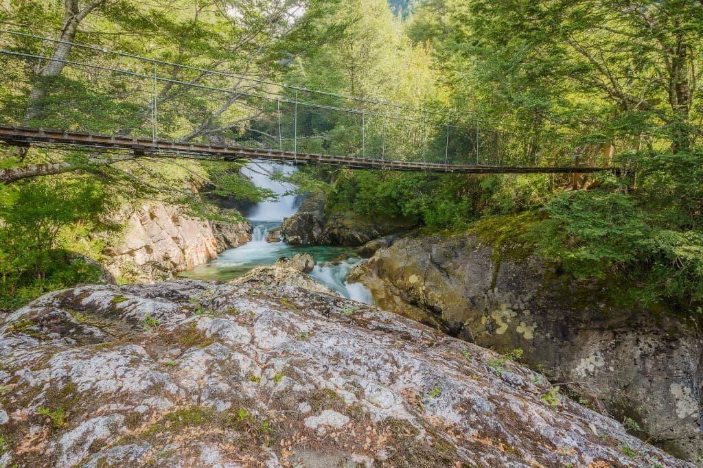Alerces Lagoon Trail