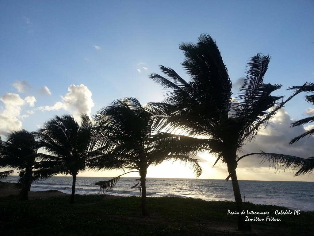 Scenic Coastal Avenue
