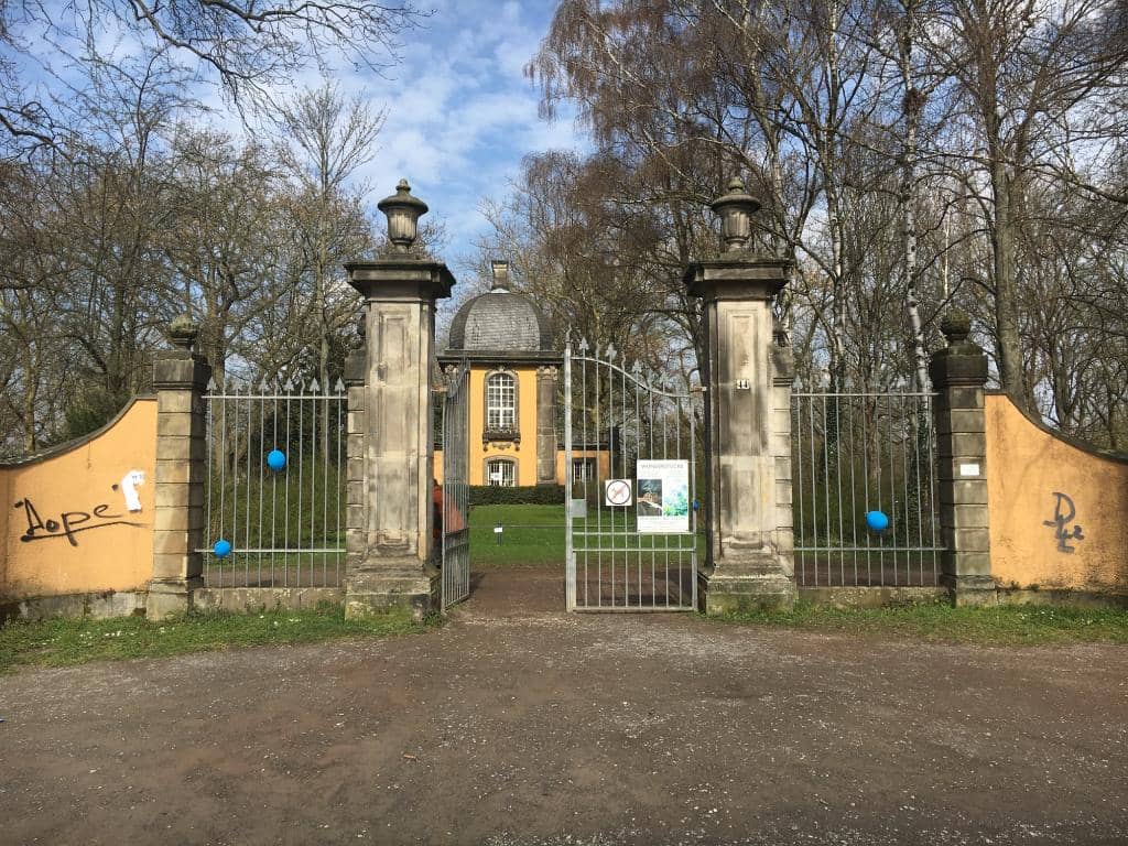 Scilla Blossom Spectacle