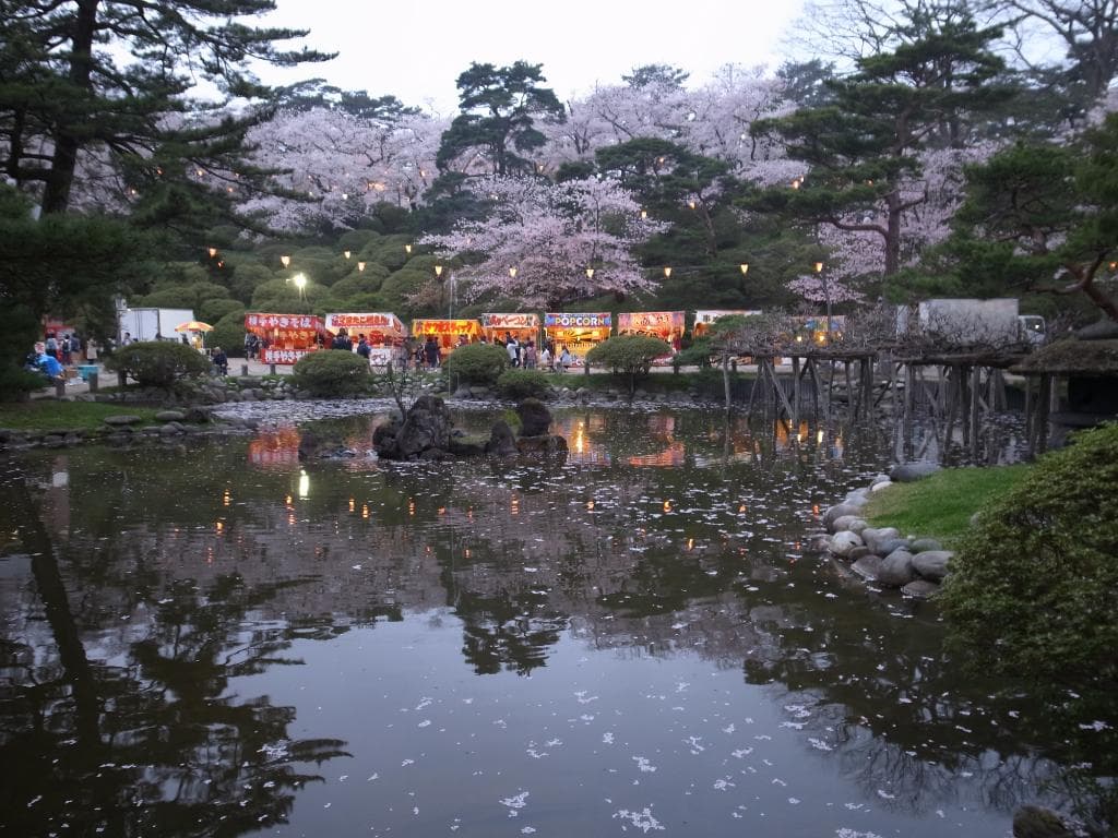 池に映る桜