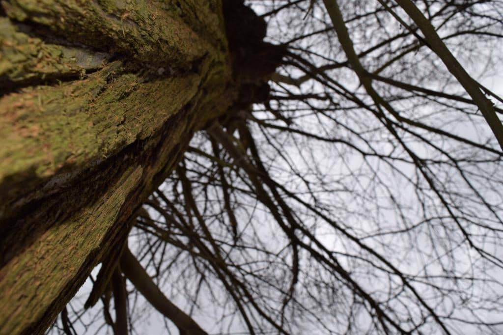 Vertical photo