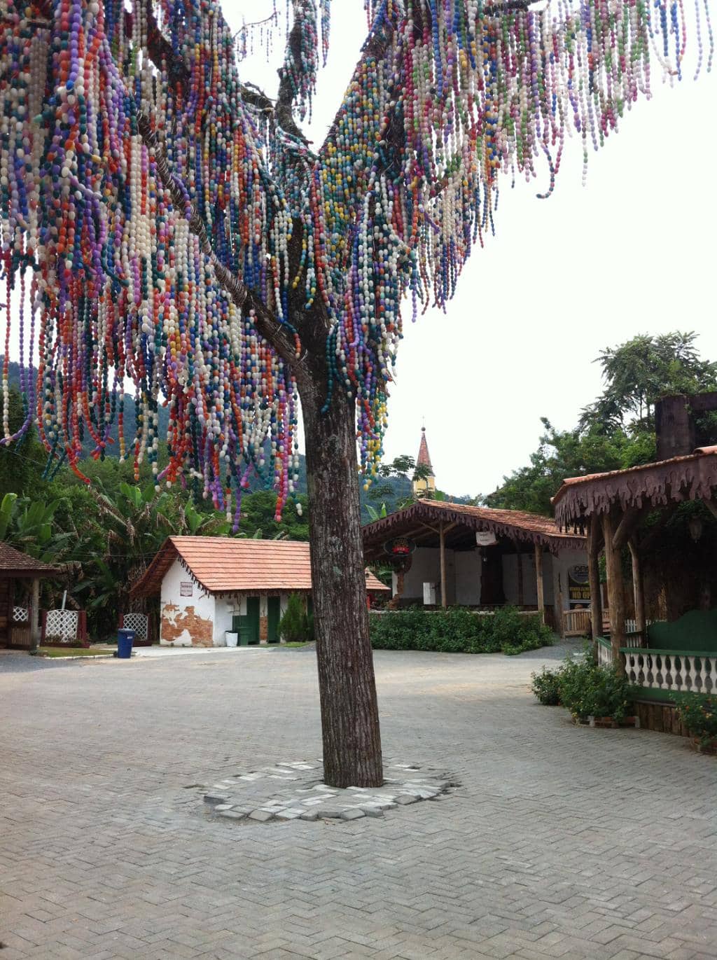 Vertical photo