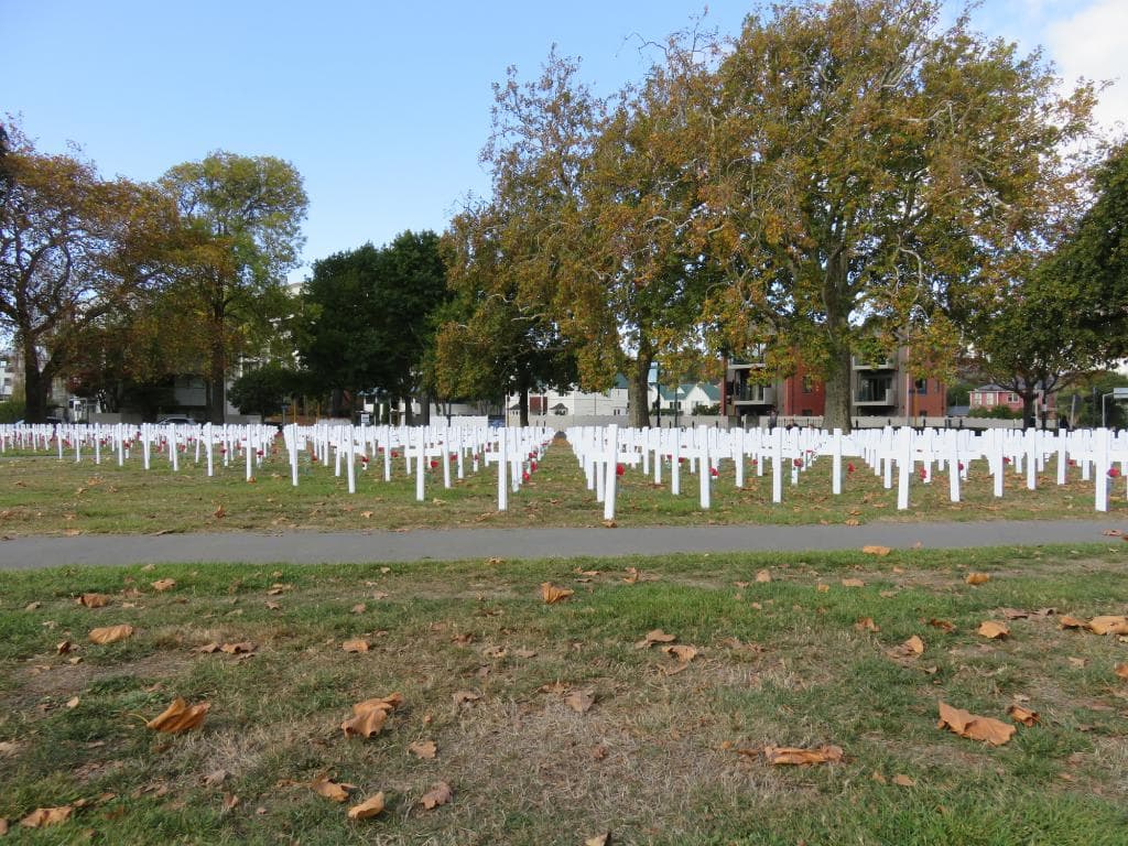 Field of crosses in Cranmer Square