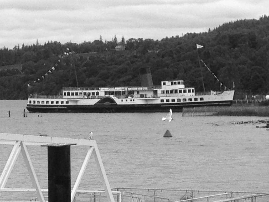 Paddle Steamer Experience