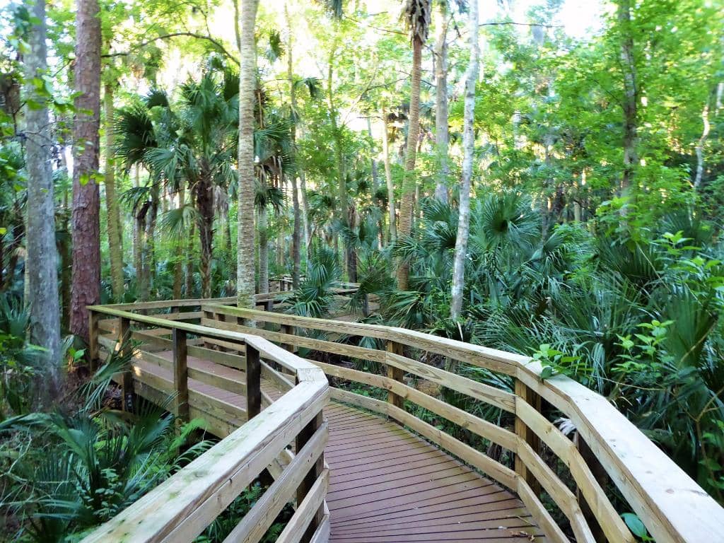 Black Elk Peak Summit