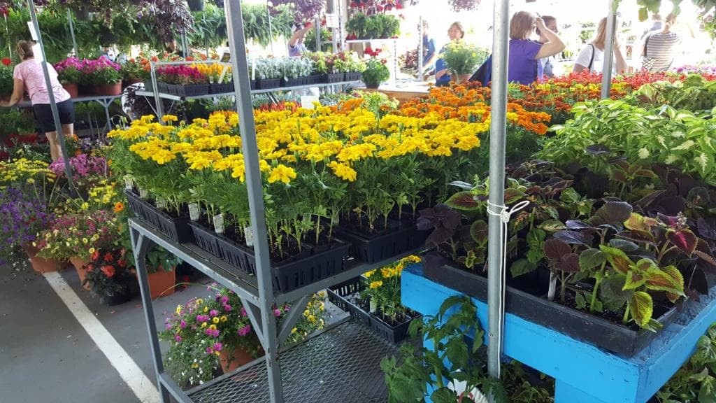Leesburg Farmers Market