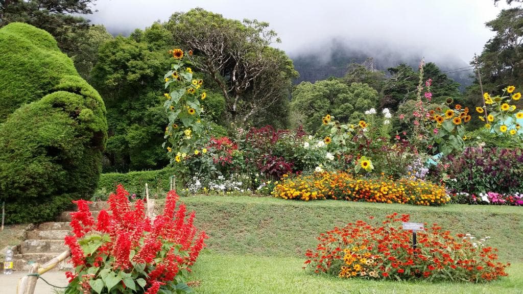 inside the garden